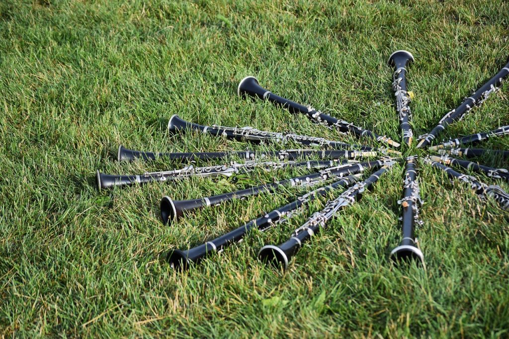 Ensemble di clarinetti